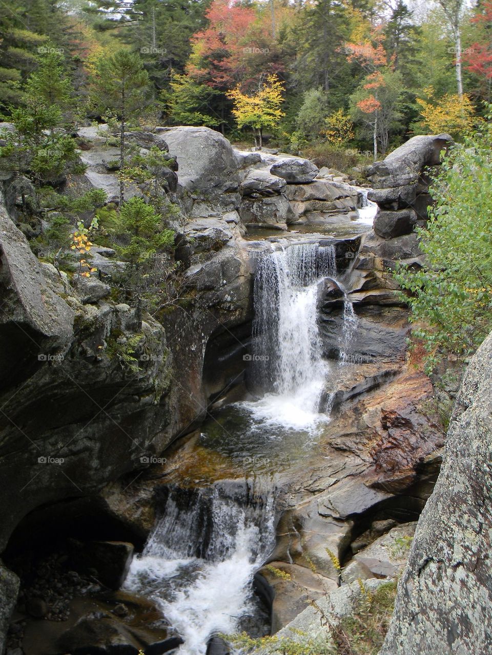 Screw Auger Falls Maine