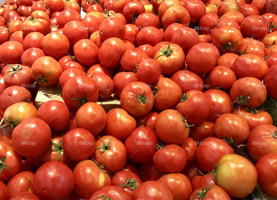 red tomatoes at a free fair