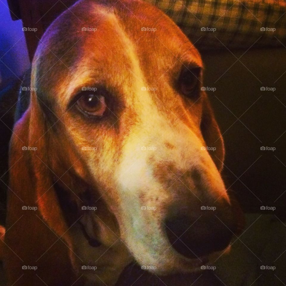 What an expressive face