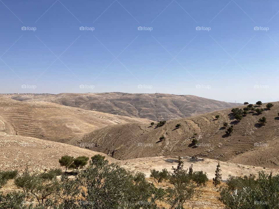 Nature on Mount Nebo in Madaba in Jordan