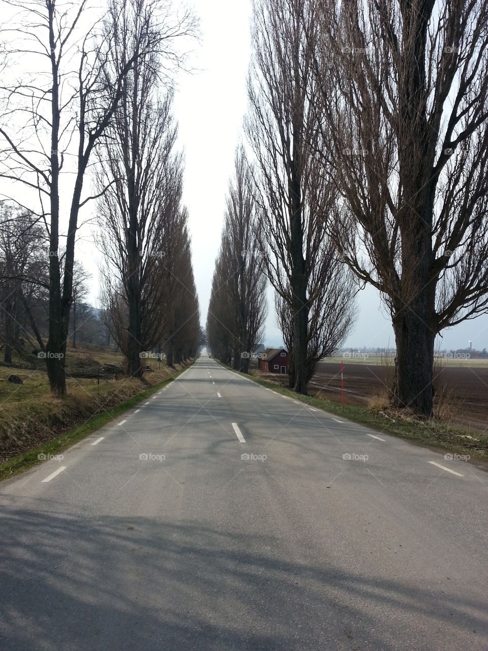 Road
