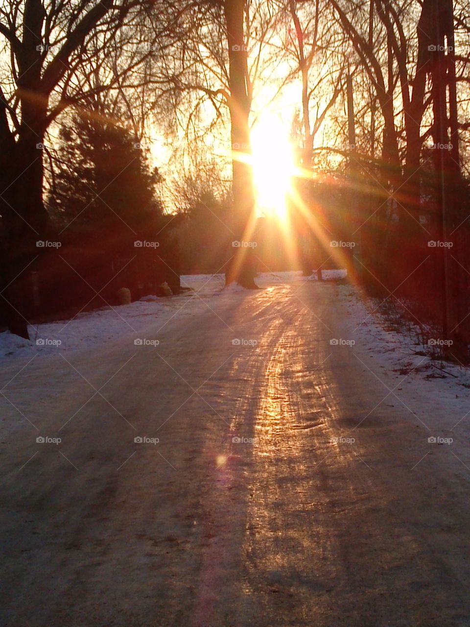 glorious winter morning