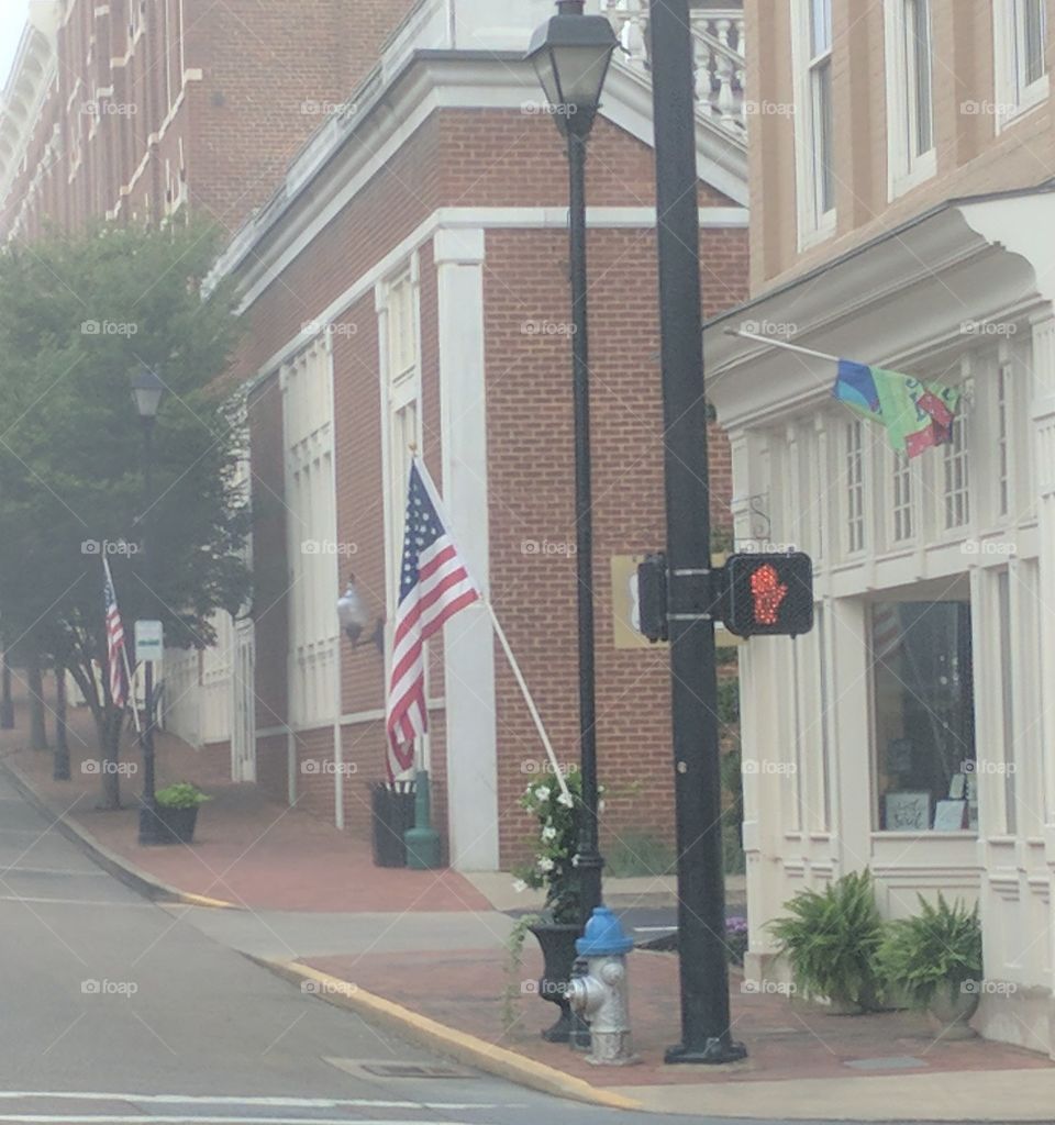 Downtown Flags