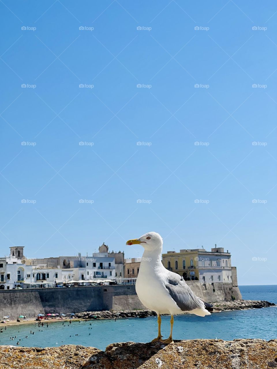 Gaviano in Gallipoli. IT