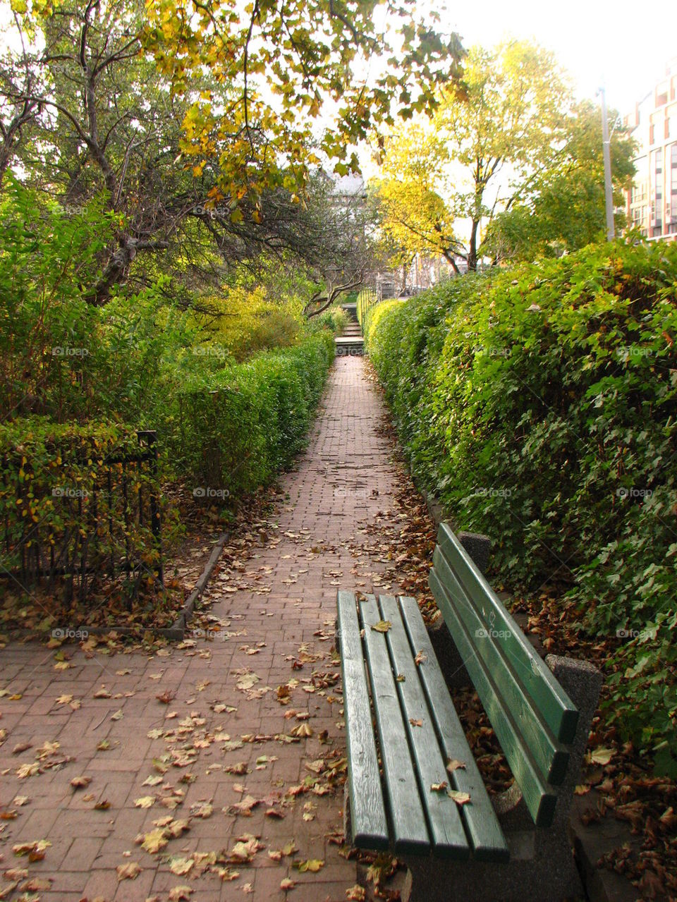 Bench, Park, Autumn