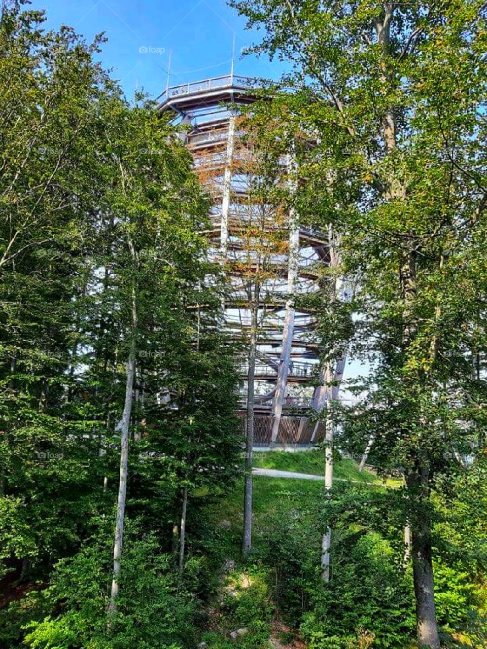 Interesting construction in the nature