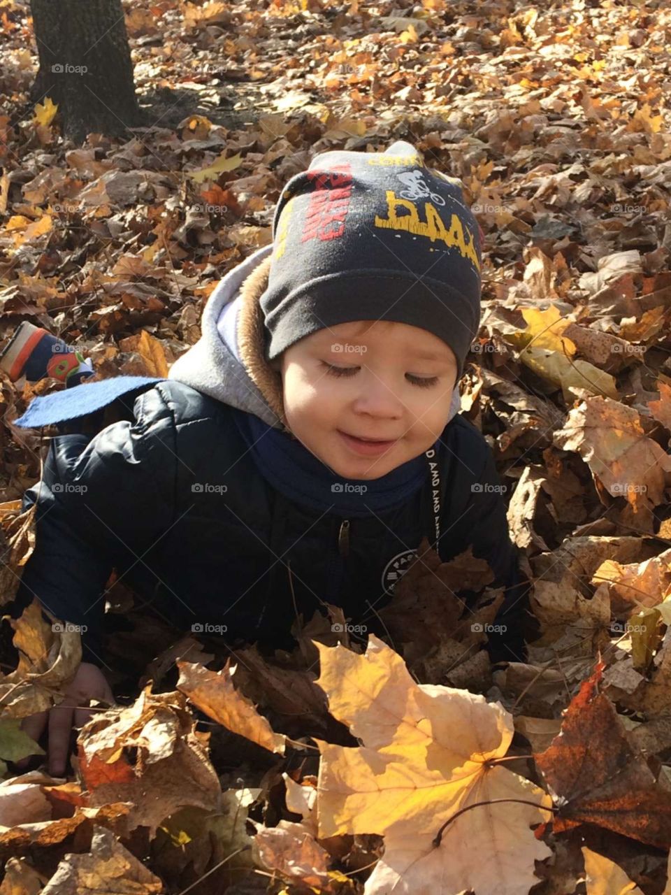 Little boy play with leaf