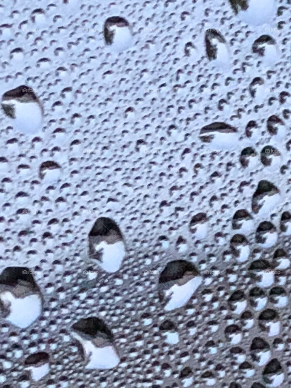 Rain droplets on window