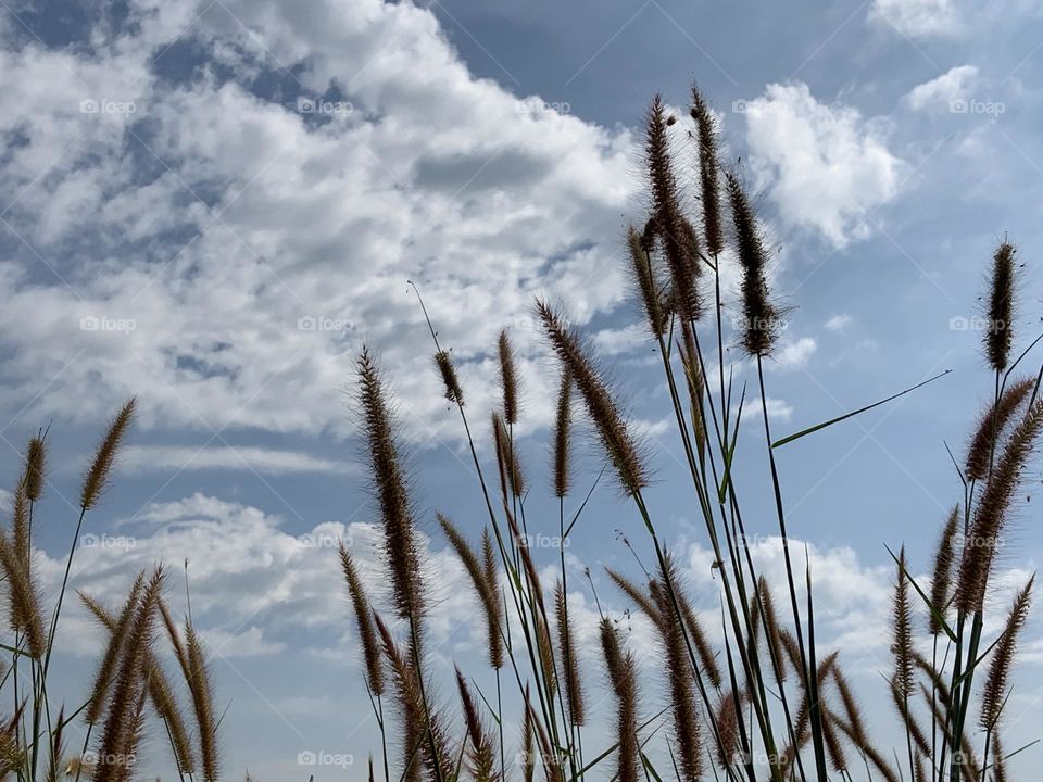 Editors ‘ choice : Photo of the week, Countryside.