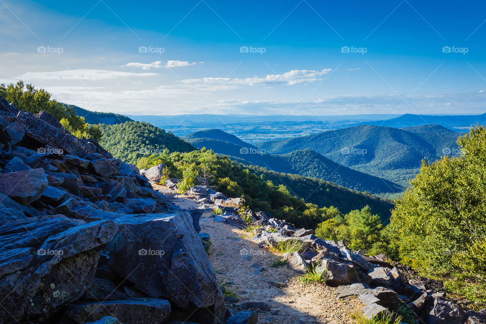 High angle view of nature