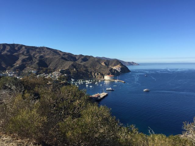Catalina 