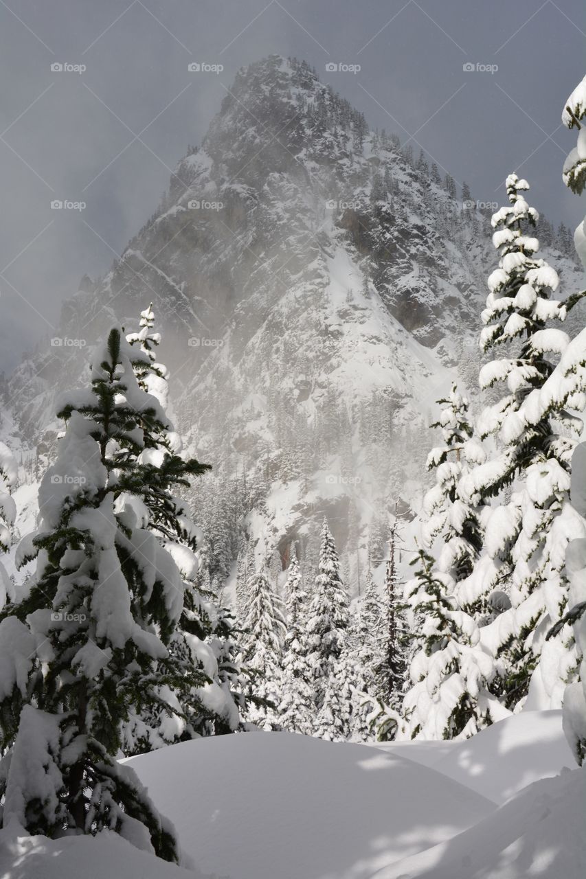 Winter in the Cascades 