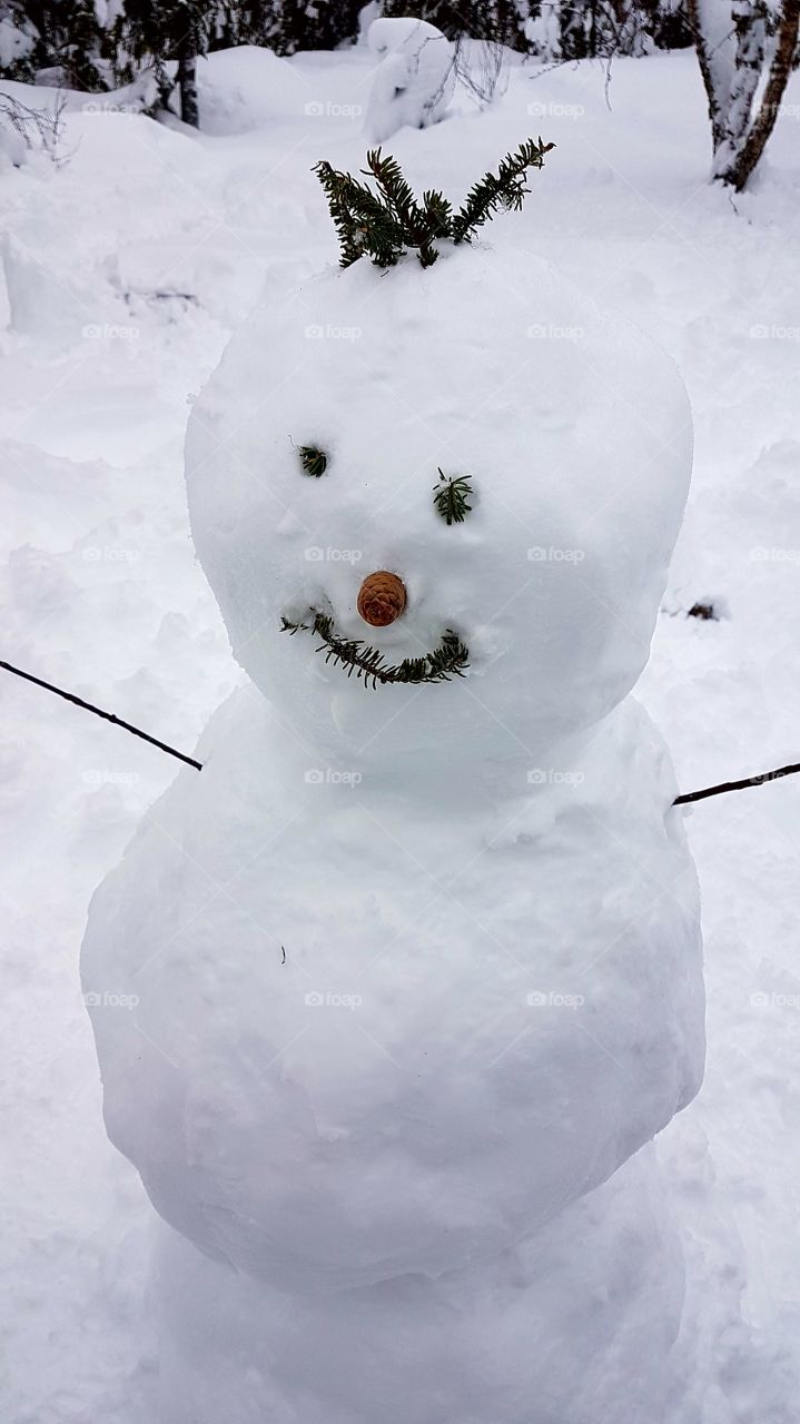 Cute snowman!
