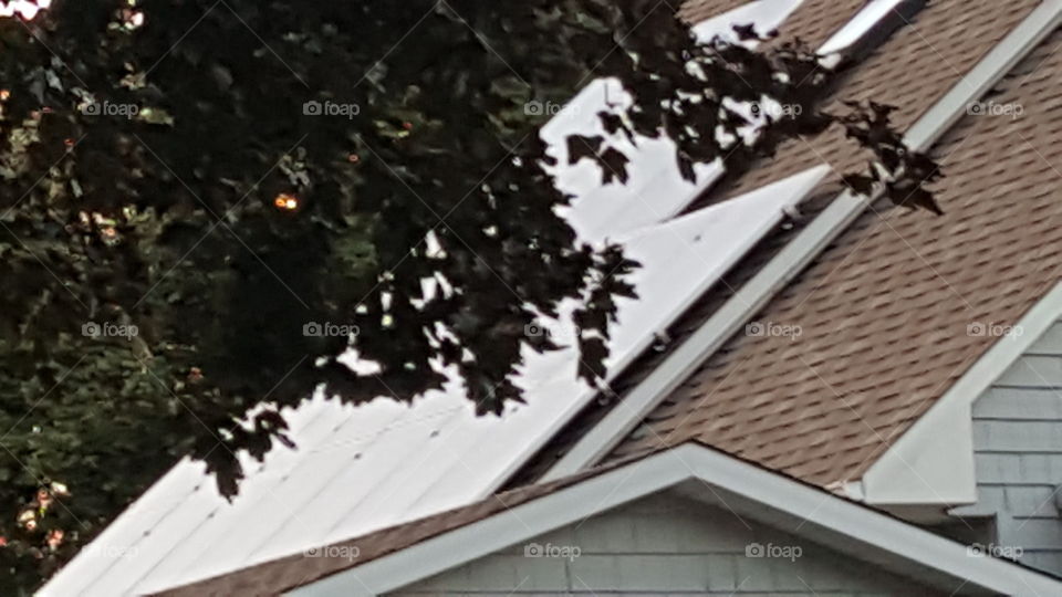 rooftop solar panels