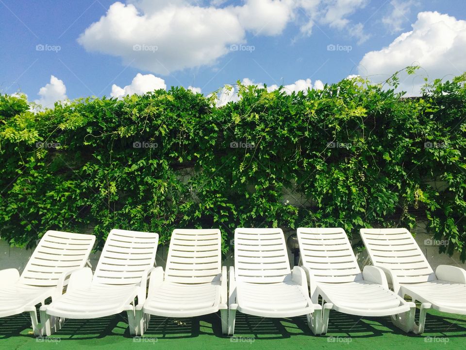 Empty sunbeds with greenwall in the background and sky