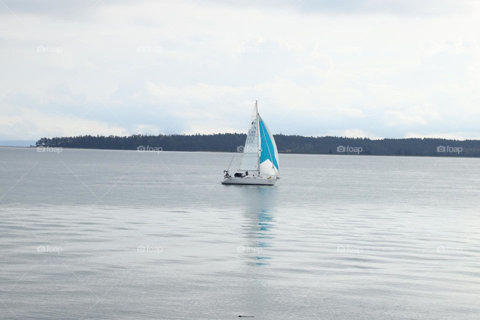 Boat sailing 