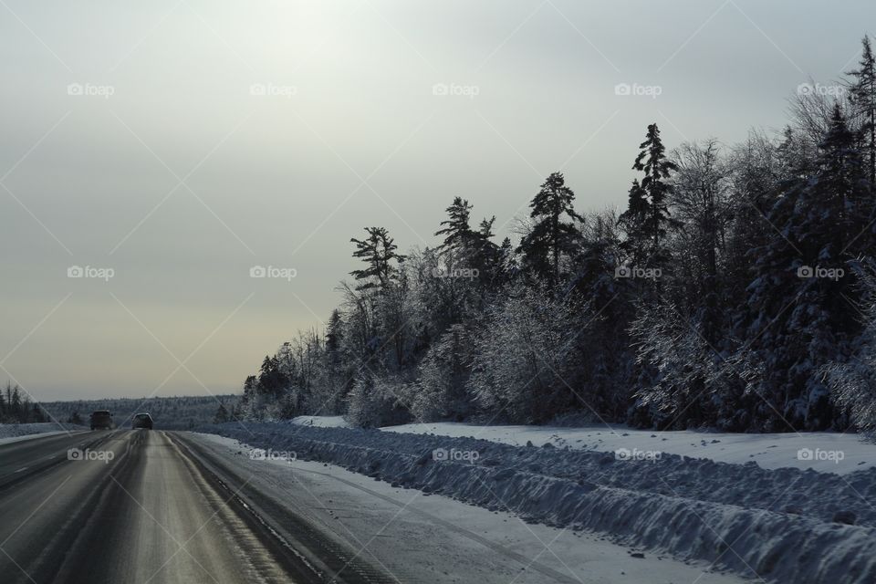 Snow, Winter, Road, Frost, Cold