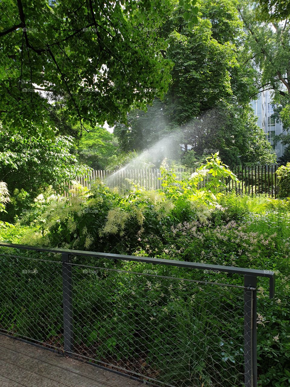 Palmengarten Frankfurt
