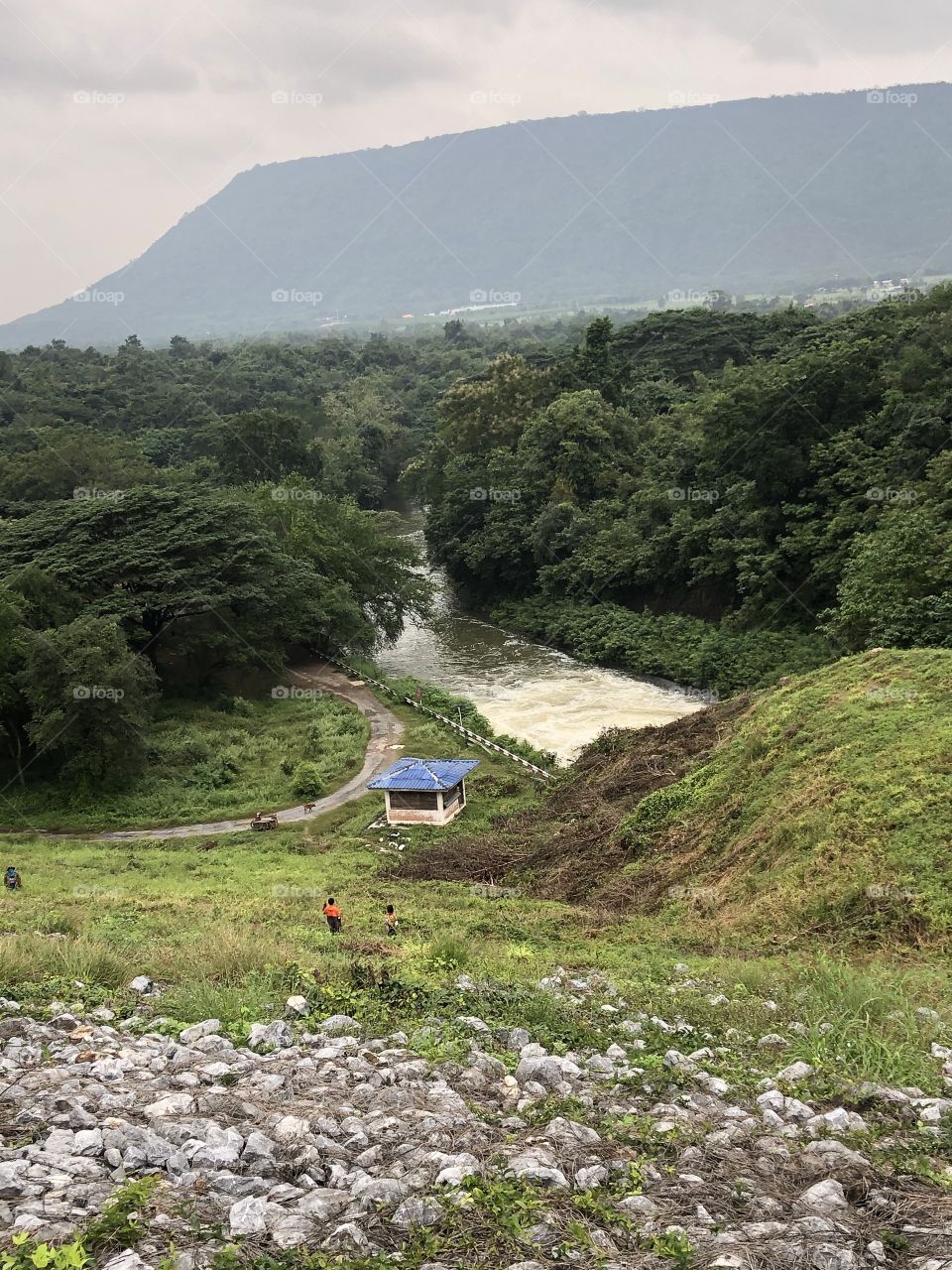 The stories of the nature, around the back of the dam.