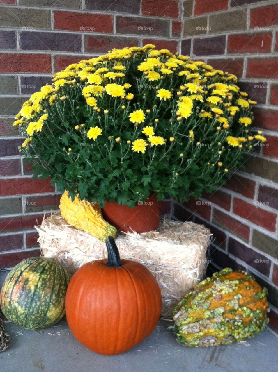 Fall porch display
