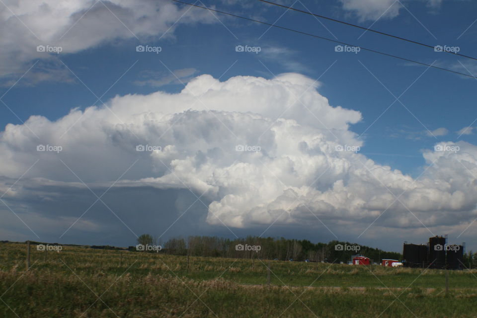 large white fluffy cloud in a blue sky over a field