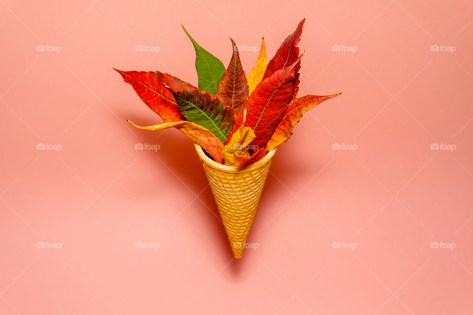 Colorful leaves in ice cream cone