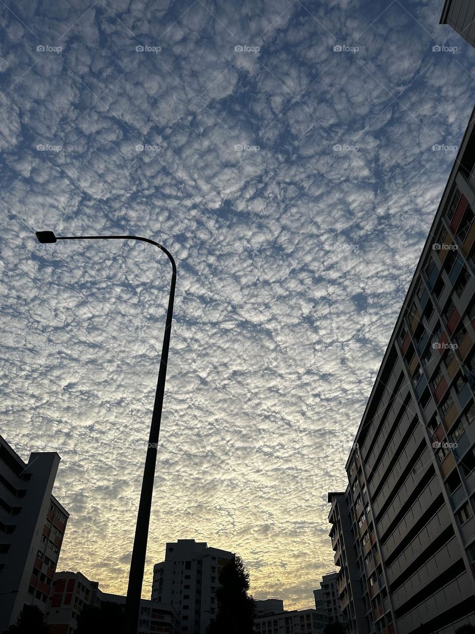 Morning clouds