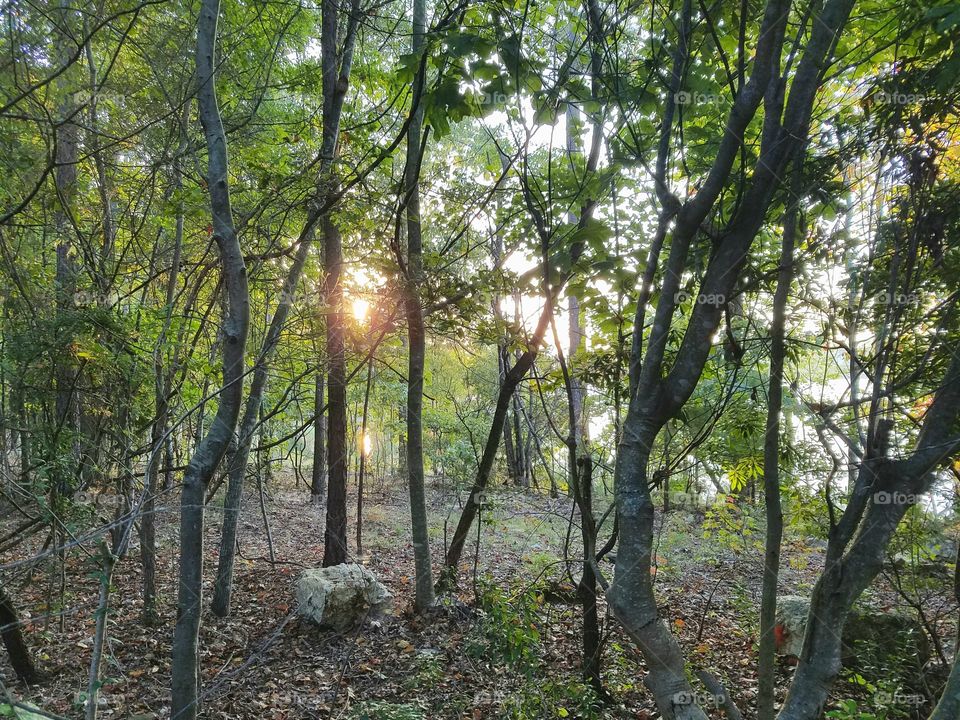 the sun beginning to rise over a lake as it peeks out through the trees.