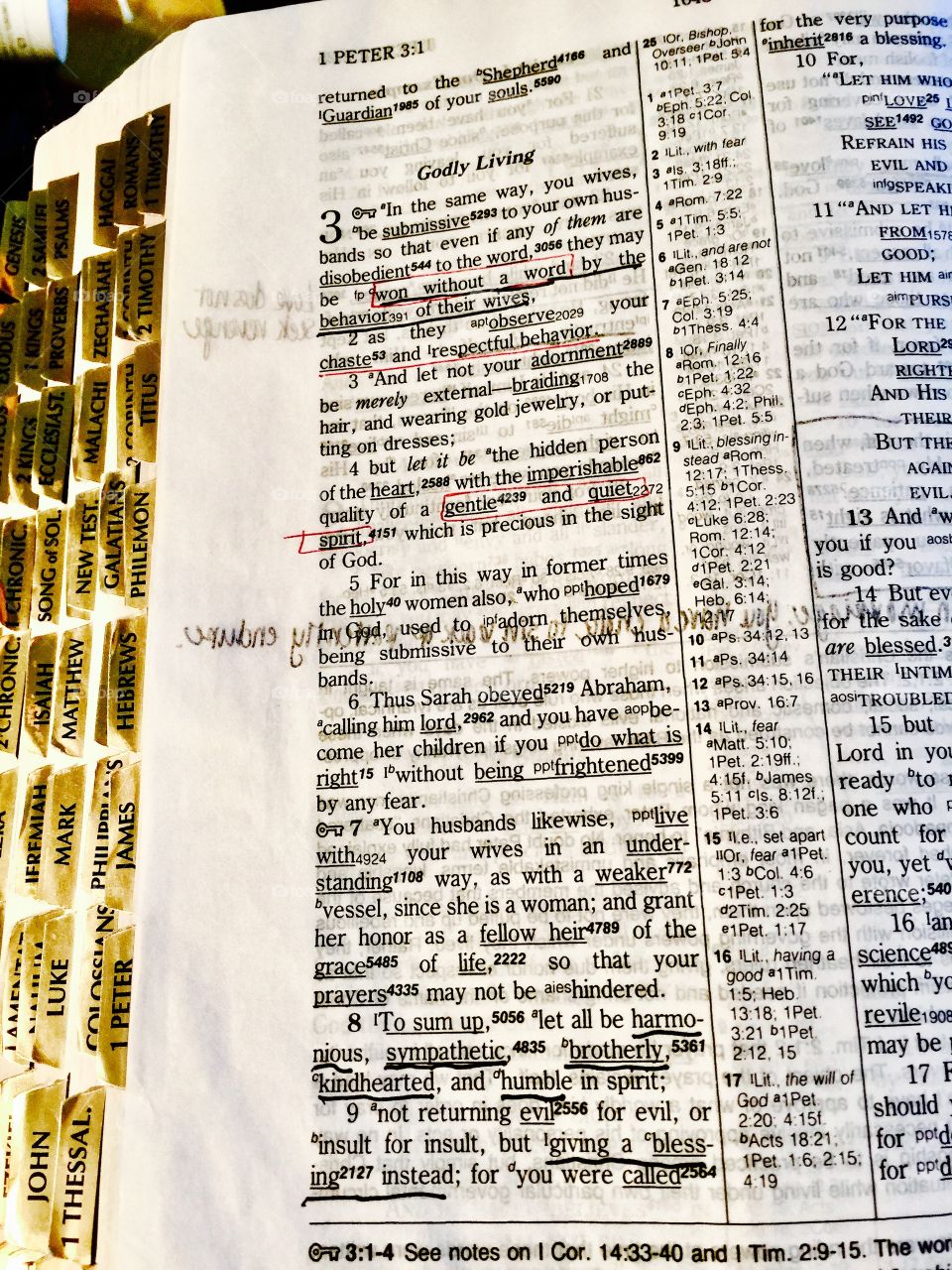 Bible close up