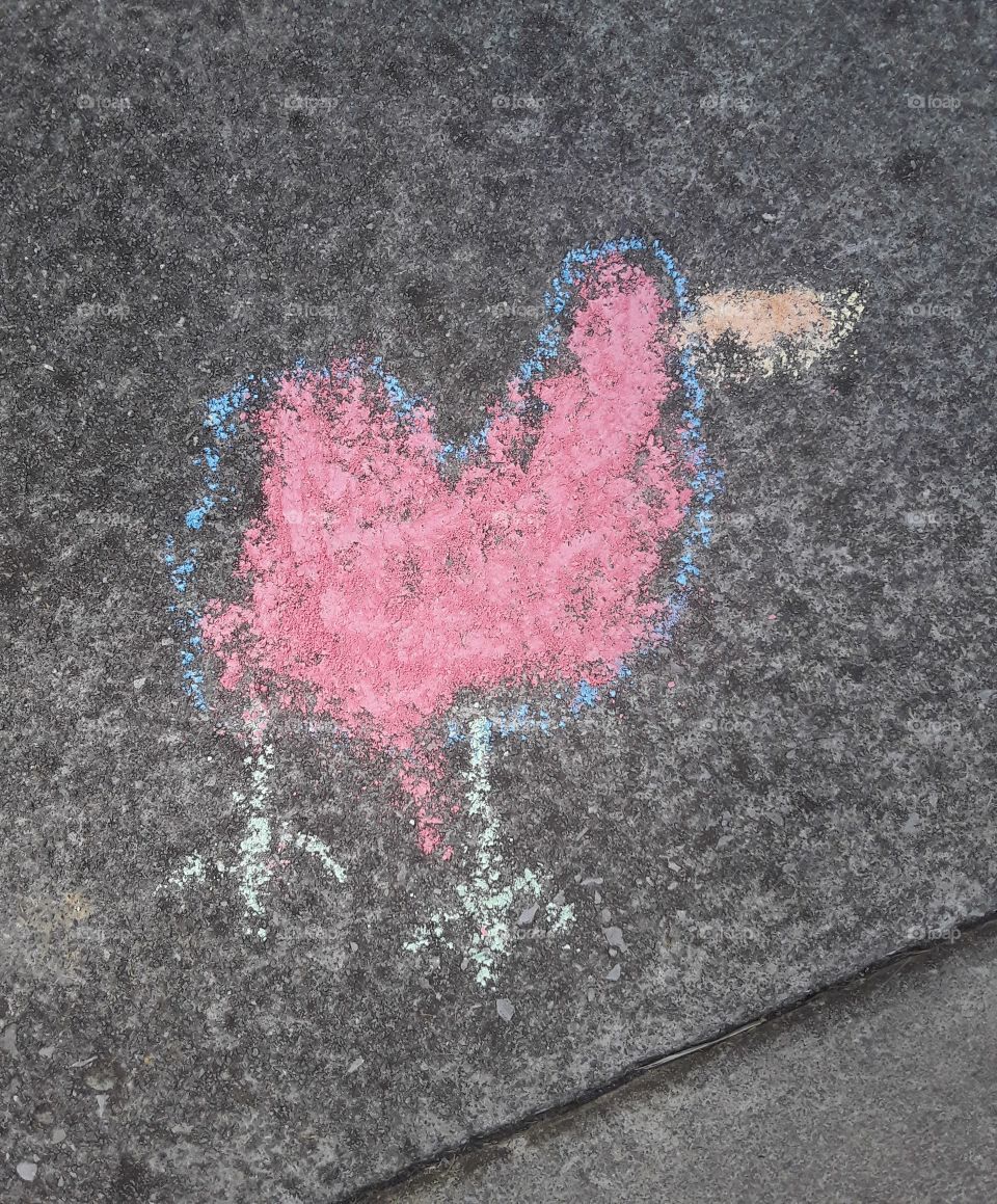 chicken chalk