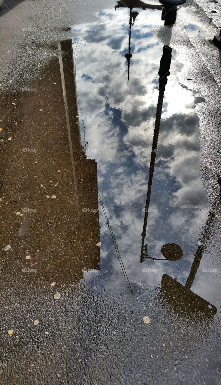 After rain reflections