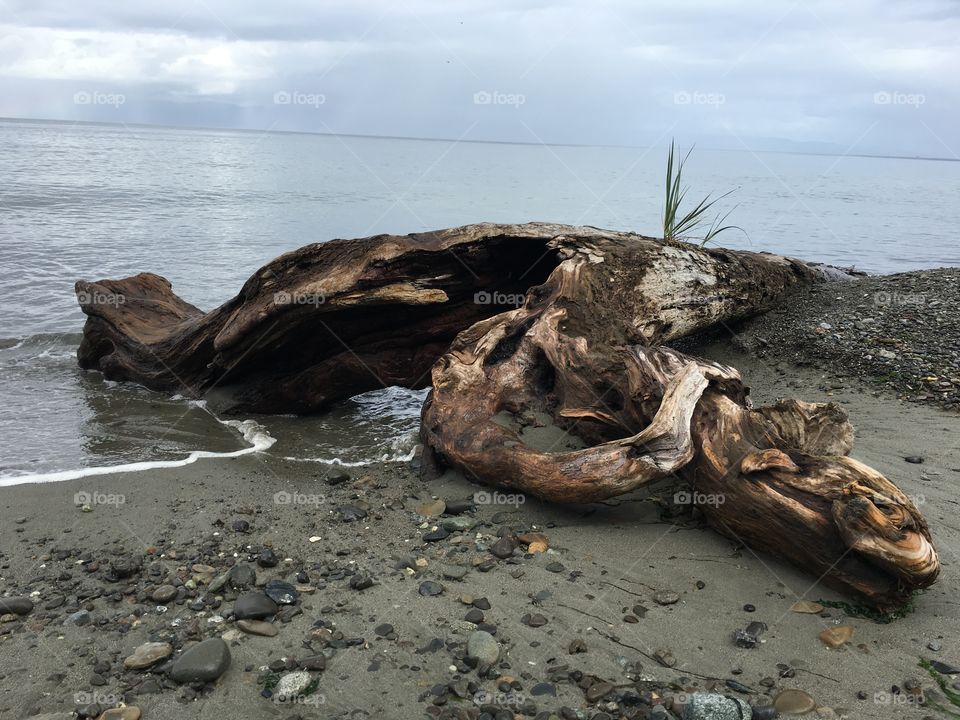 No Person, Water, Sea, Ocean, Beach