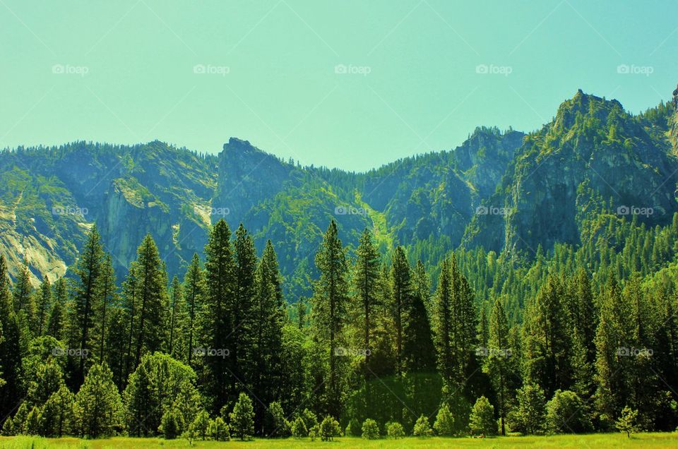 Ahwahnee meadow 