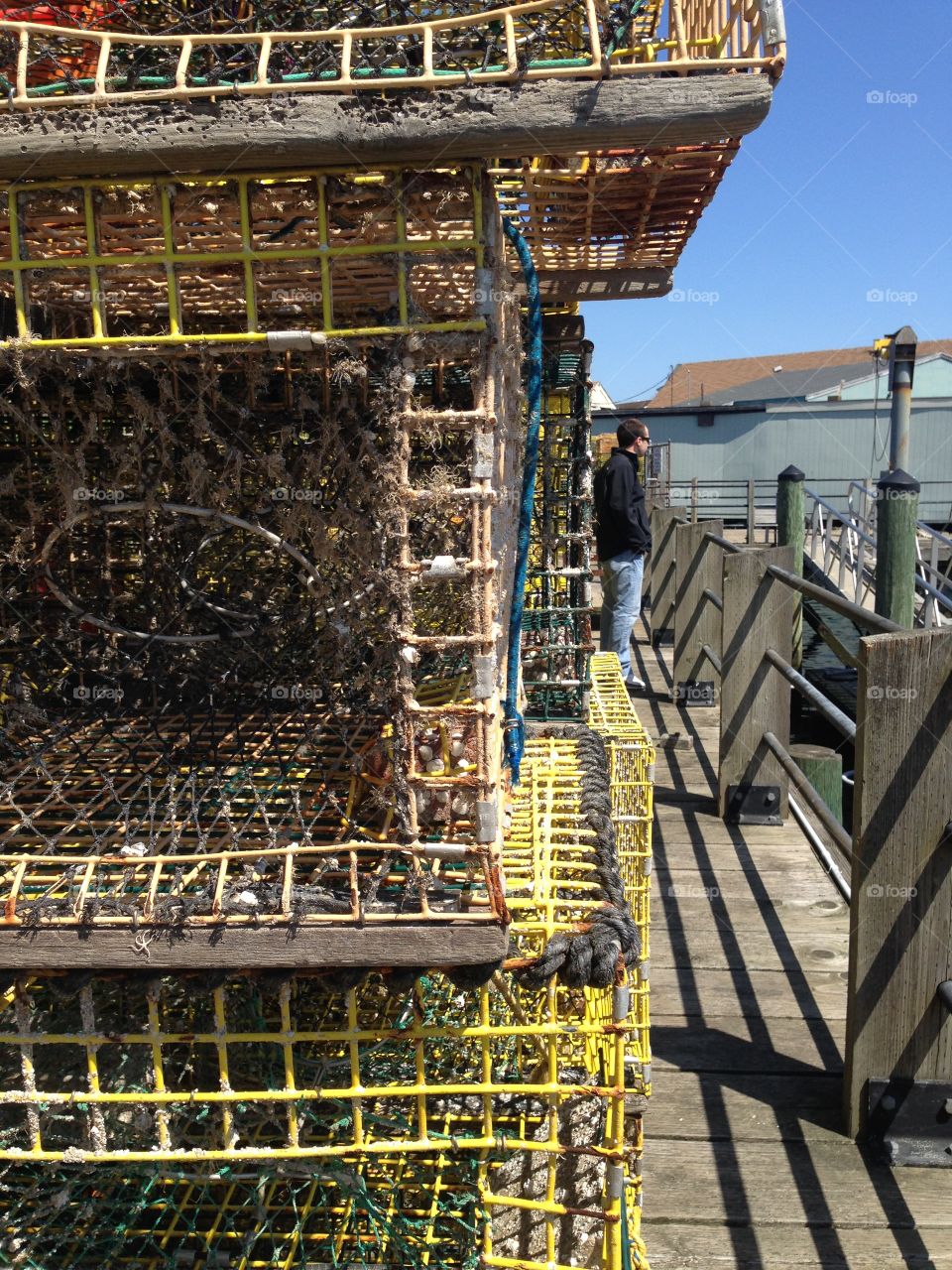 Lobster traps, deep sea catching, harbor viewing 