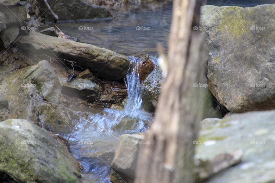 Hiking in Northwest Arkansas