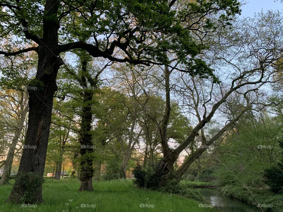 Nature