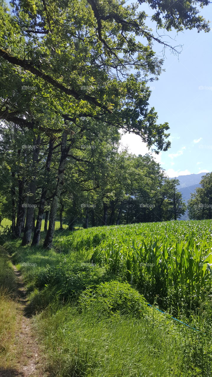 La vie en montagne/life in mountain