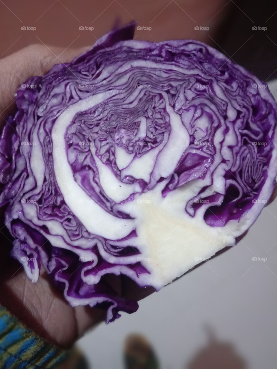 purple cabbage full with antioxidant