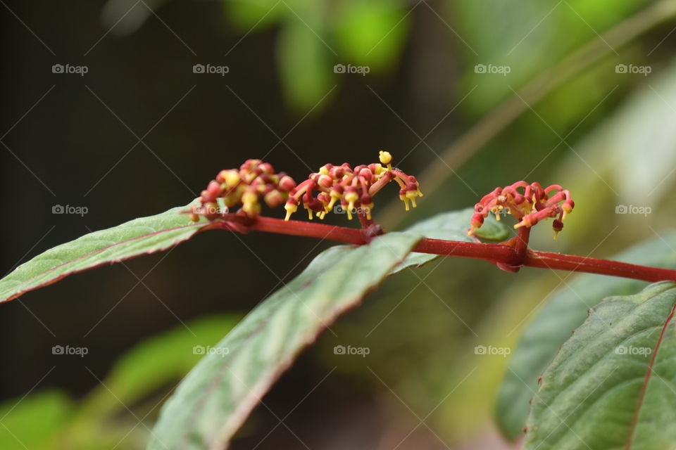 it's spring time everywhere....