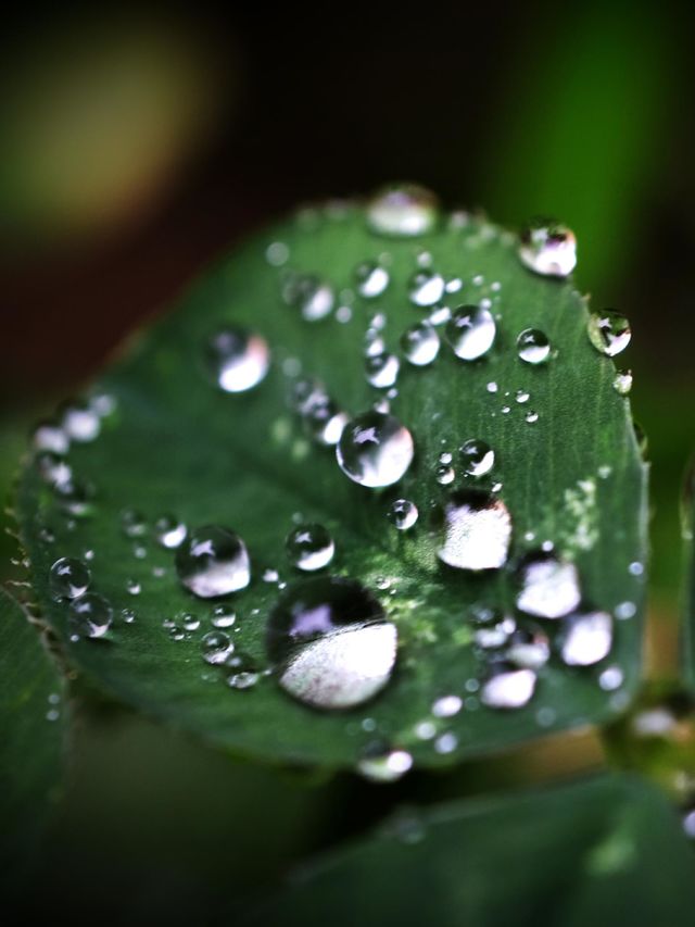 After rain
