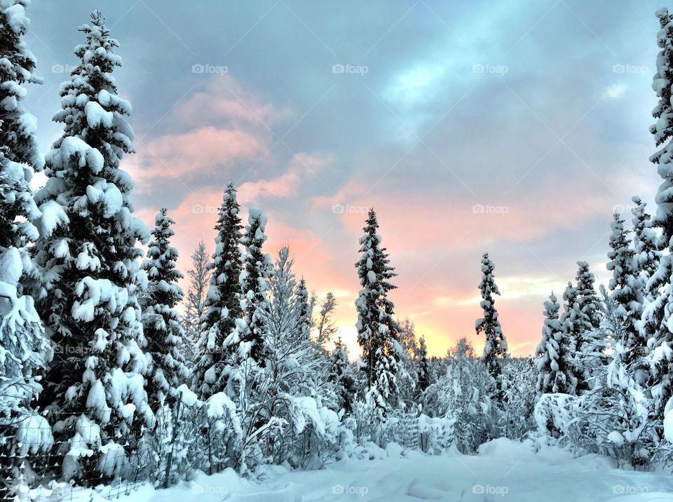 View of snowy landscape