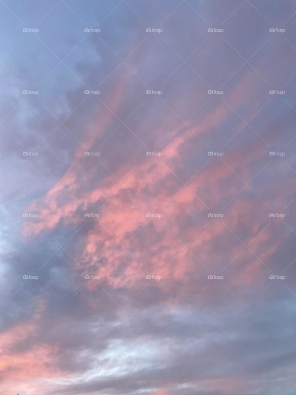 Never disappointed to look up.