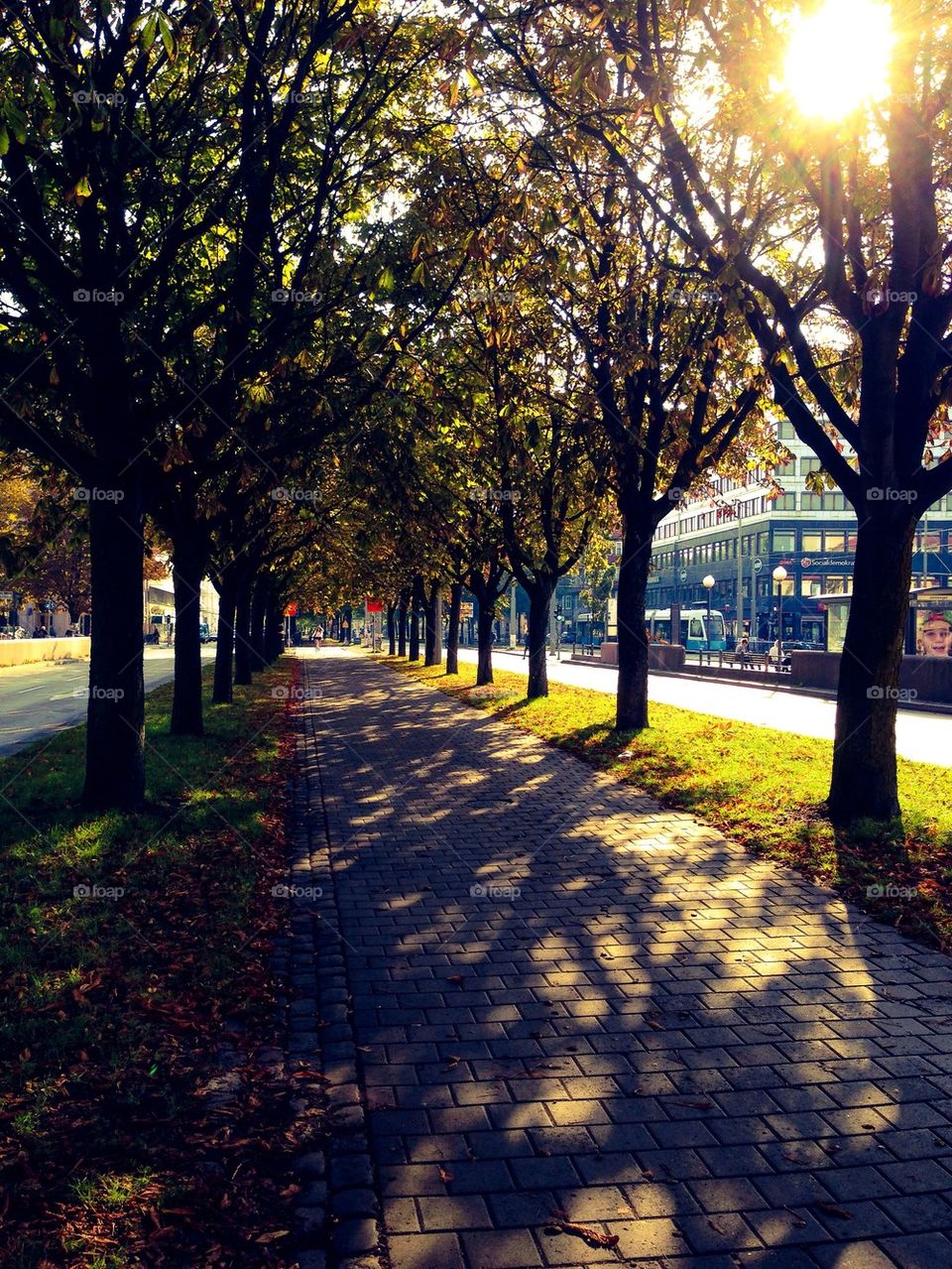 Fall in Gothenburg