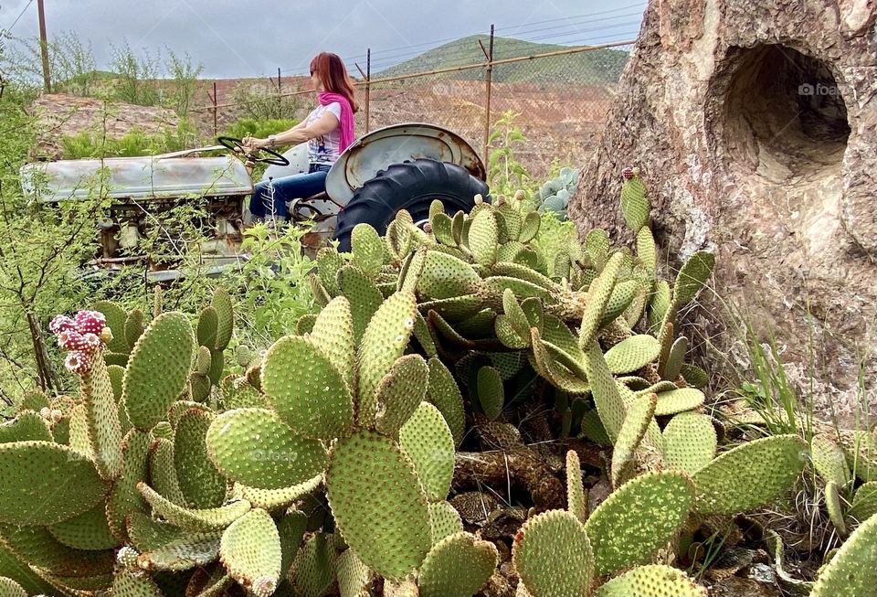 Glam farming in the desert 