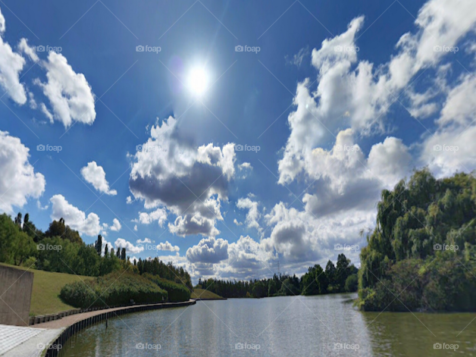 Amazing fields in France