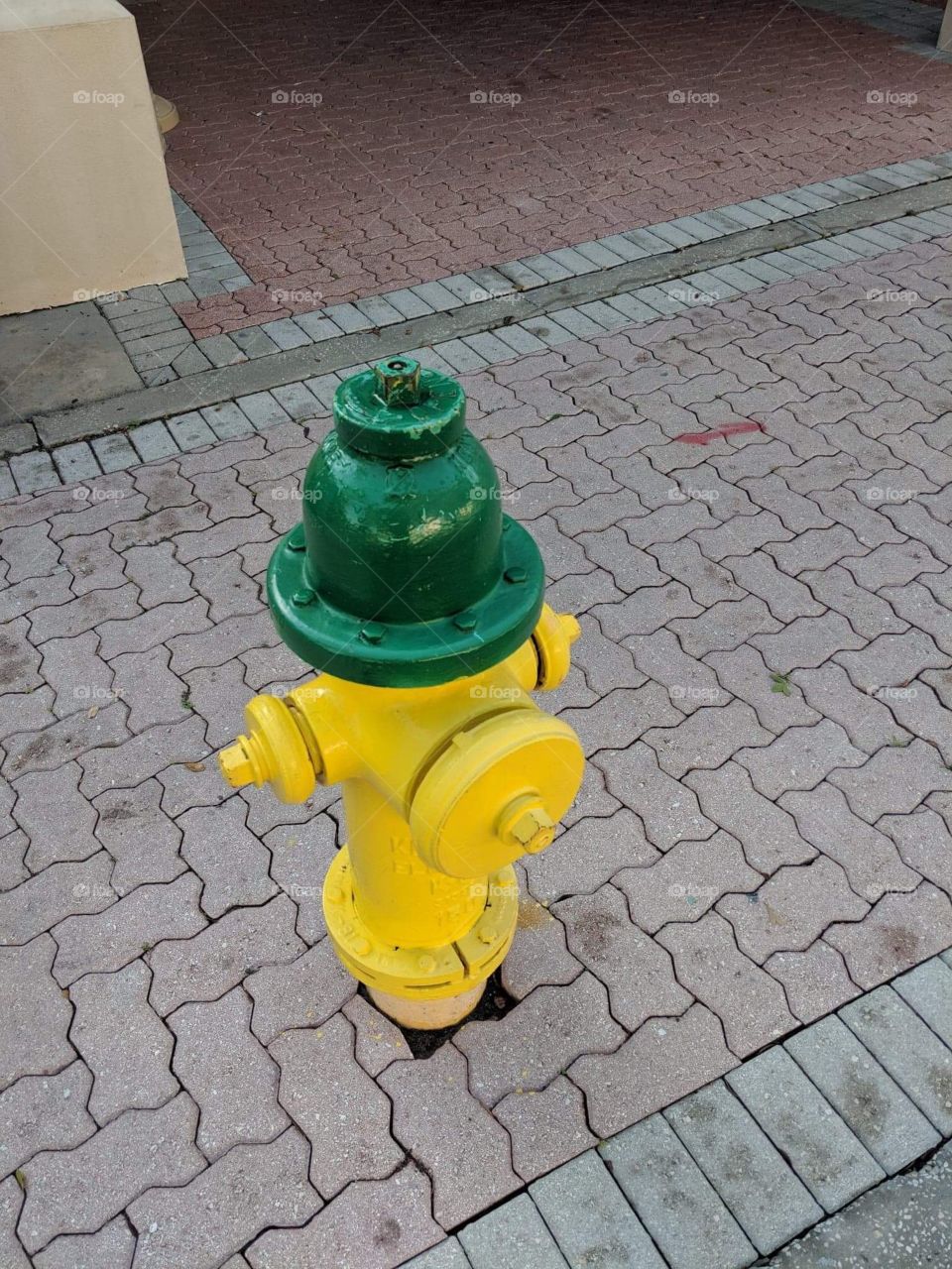 Fire hydrants 