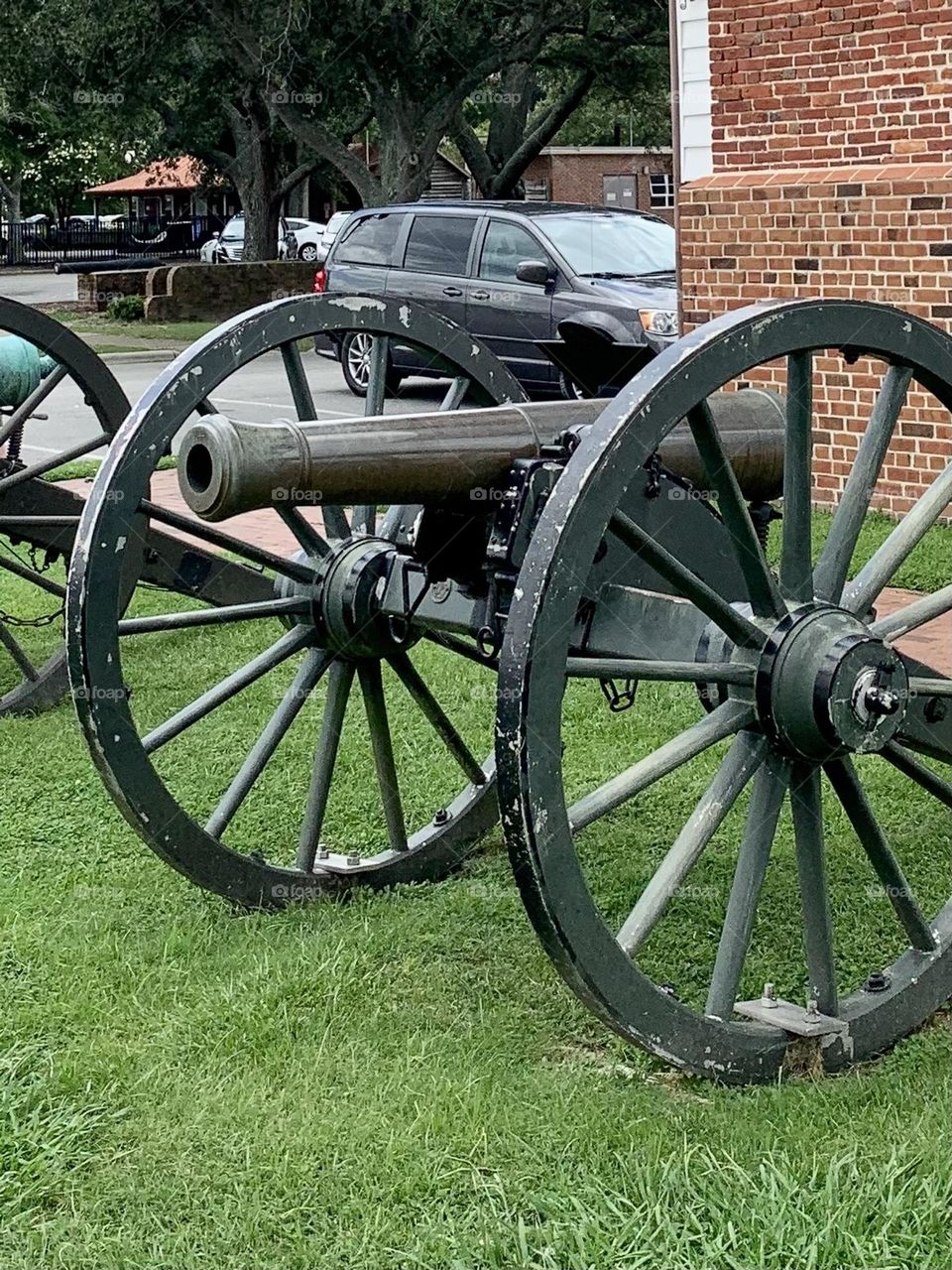 Cannon