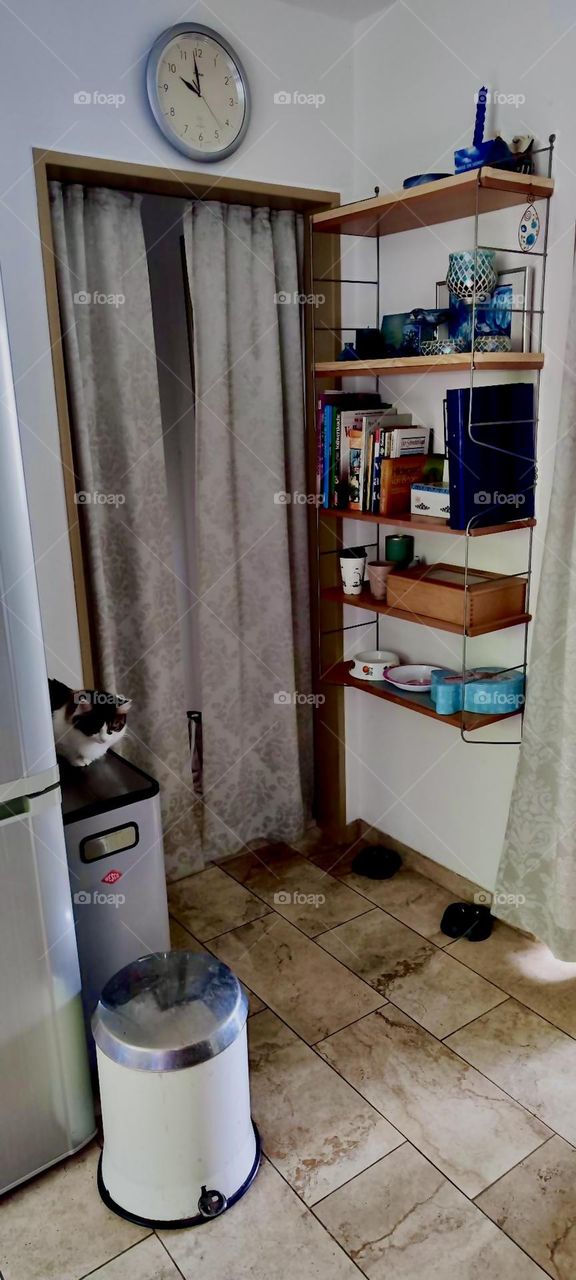 This is a detail from the kitchen of a wonderful house in „Bavaria“, Germany with shelves and a thermo curtain in the doorway. 2023. Hypnotic Productions