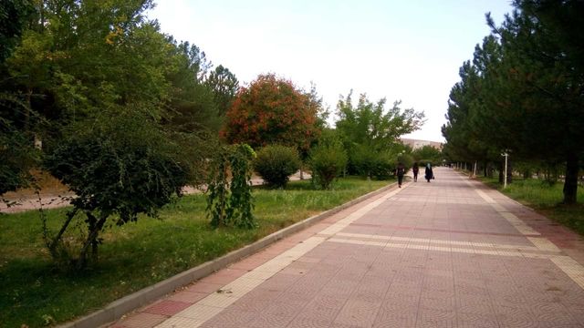 street