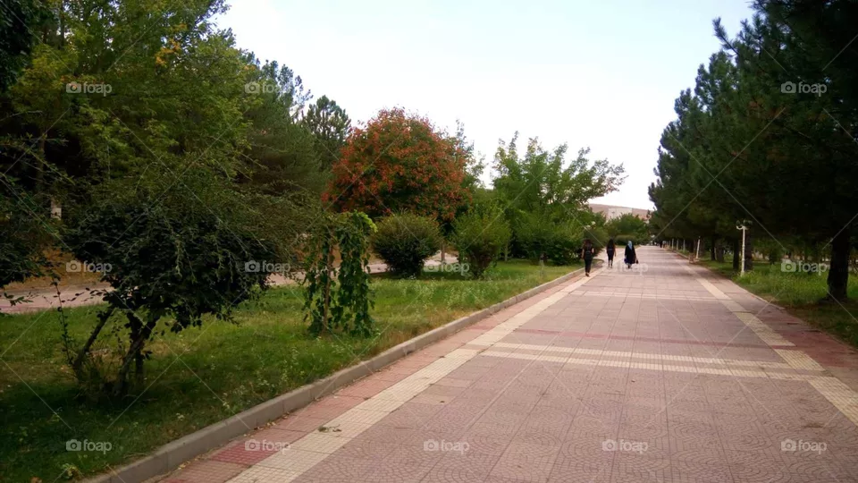 street